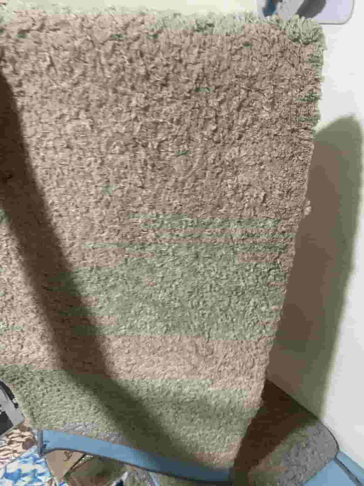 سجاد بلجيكي 