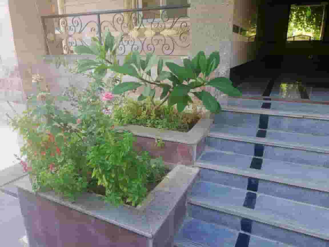 Villa for administrative or commercial rent  