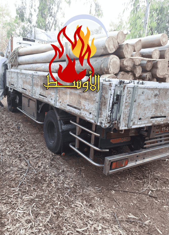 حطب الحمضيات للتصدير حطب الحمضيات للتصدير